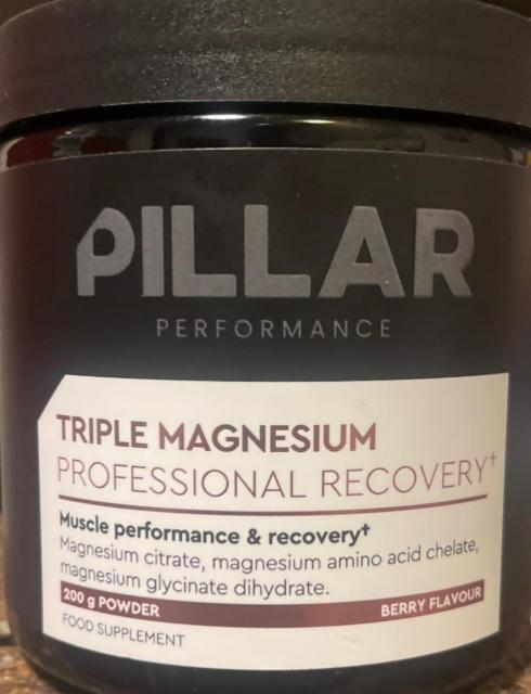 Fotografie - Triple magnesium Berry flavour Pillar Performance