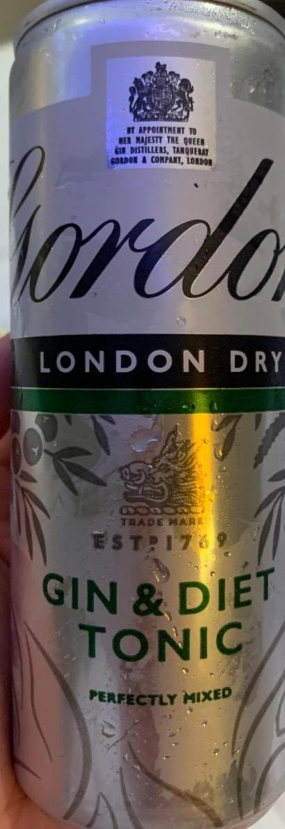 Fotografie - London dry gin & diet tonic Gordon's