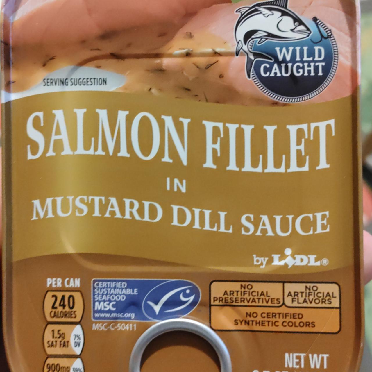Fotografie - Salmon fillet in mustard dill sauce Wild caught