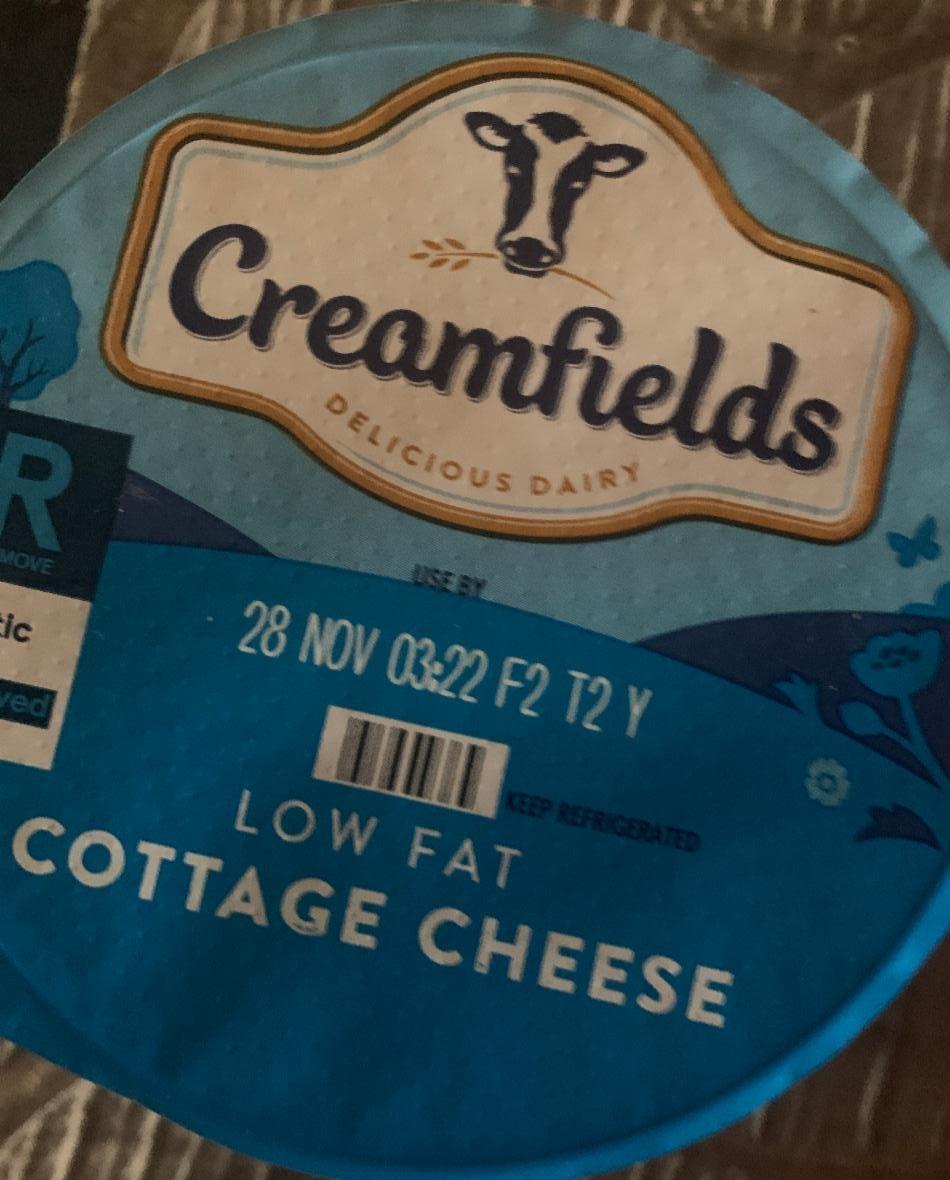 Fotografie - Cottage Cheese Low Fat Creamfields