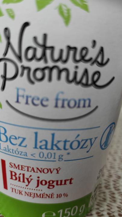 Fotografie - smetanový jogurt bez laktózy 10% Natures Promise