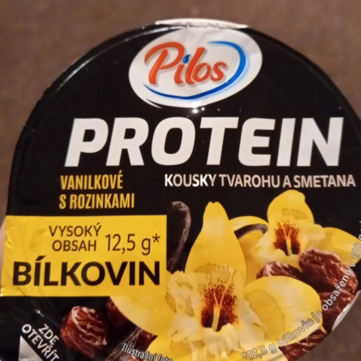Fotografie - Protein Kúsky tvarohu a smotana Vanilkové s hrozienkami Pilos