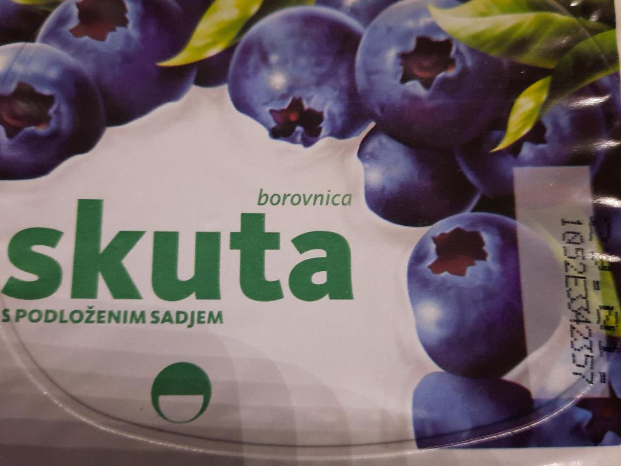 Fotografie - Skuta borovnica s podloženim sadjem Ljubljanske mlekarne