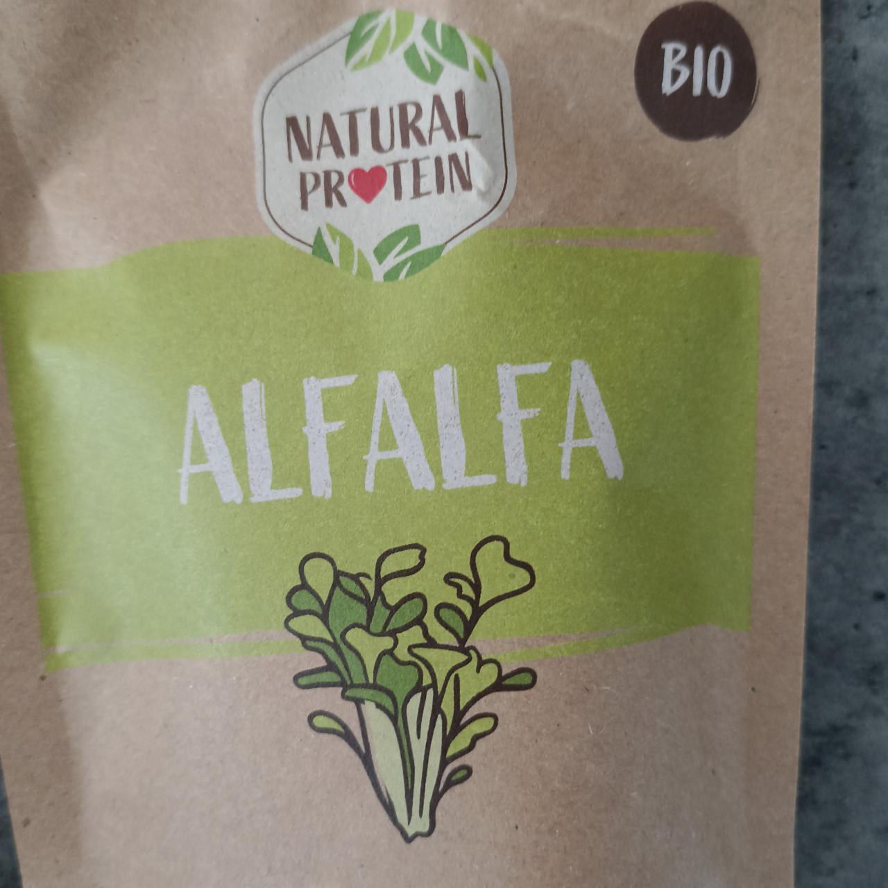 Fotografie - Bio Alfalfa prášek 100% Natural protein
