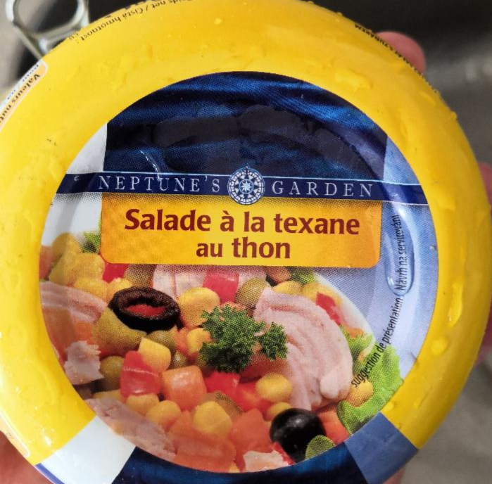 Fotografie - Texaský salát s tuňákem neptune's garden
