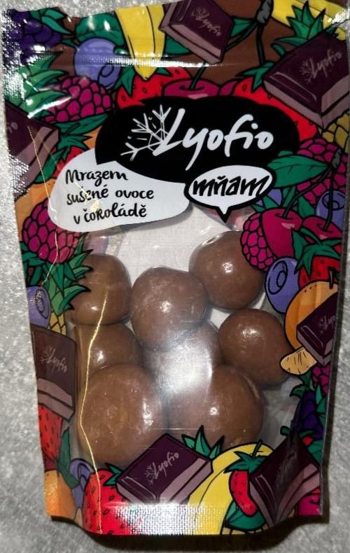 Fotografie - Mrazem sušené ovoce v čokoládě Lyofio