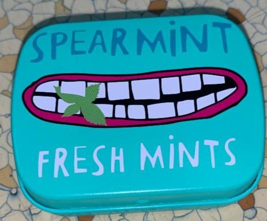 Fotografie - Spearmint Fresh Mints Tiger