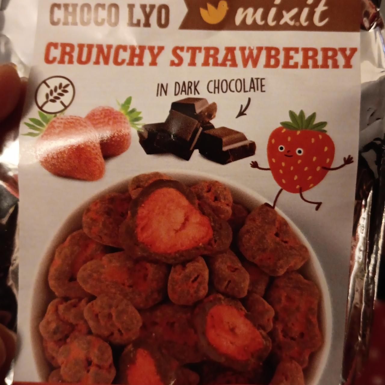 Fotografie - Choco lyo crunchy strawberry in dark chocolate Mixit