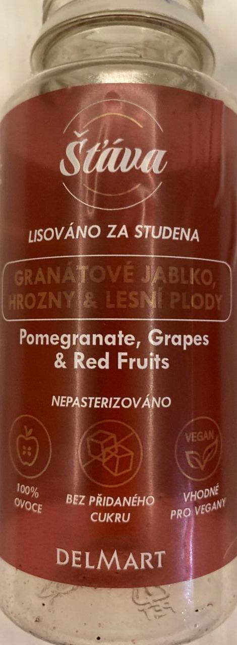Fotografie - Štáva Pomegranate, Grapes & Red Fruits Delmart