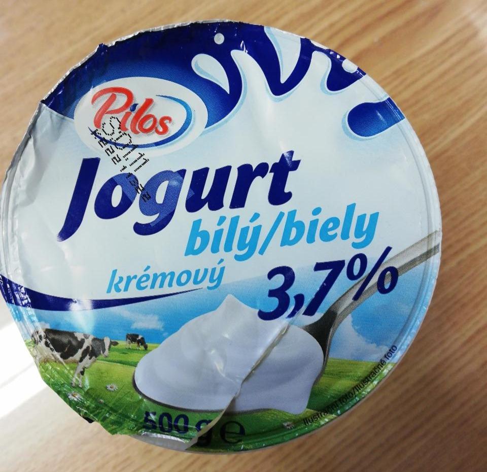 Fotografie - jogurt bílý krémový 3,7% Pilos