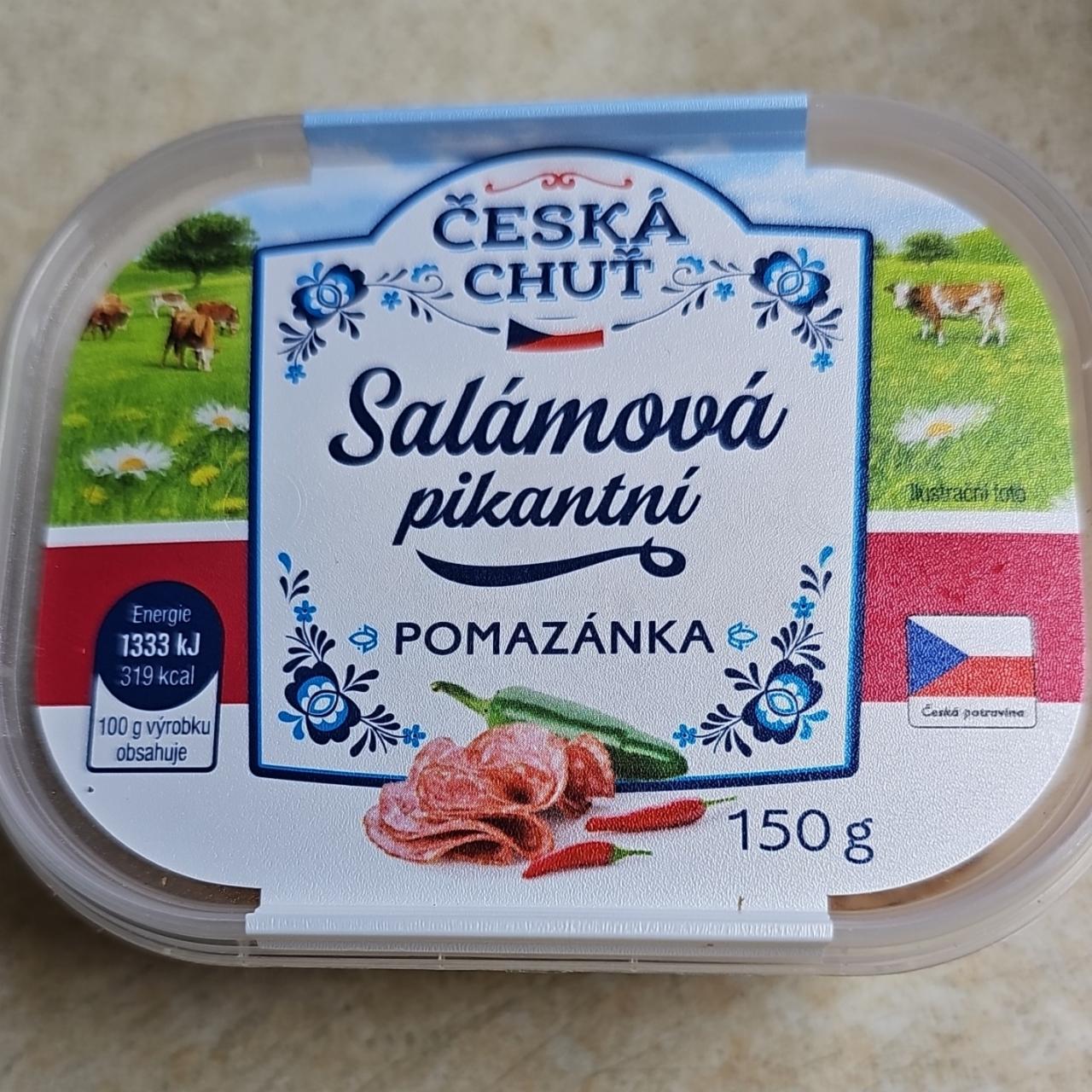 Fotografie - Salámová pikantní pomazánka Česká chuť