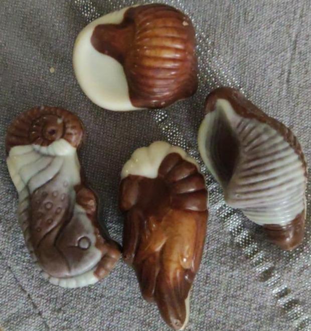 Fotografie - mořské plody čokoláda