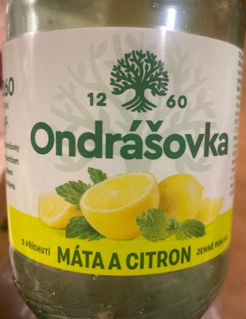 Fotografie - Ondrášovka máta a citron