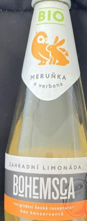 Fotografie - Zahradní limonáda meruňka a verbena Bohemsca
