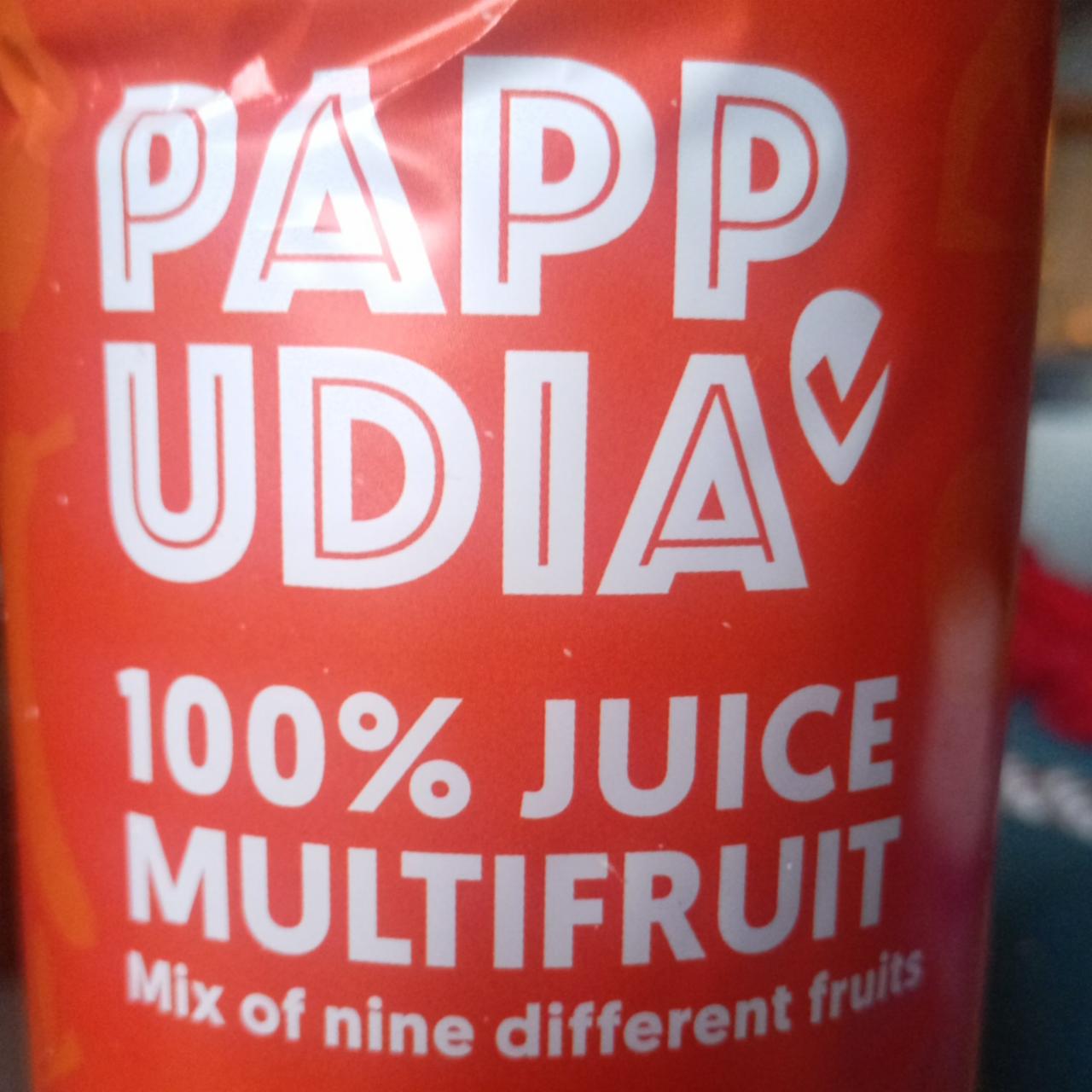 Fotografie - 100% juice multifruit Pappudia