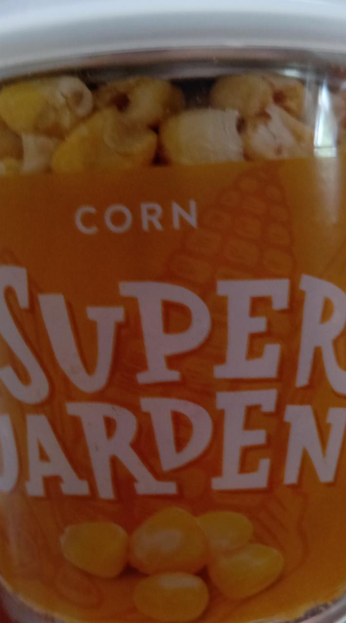 Fotografie - corn Super Garden Svět plodů