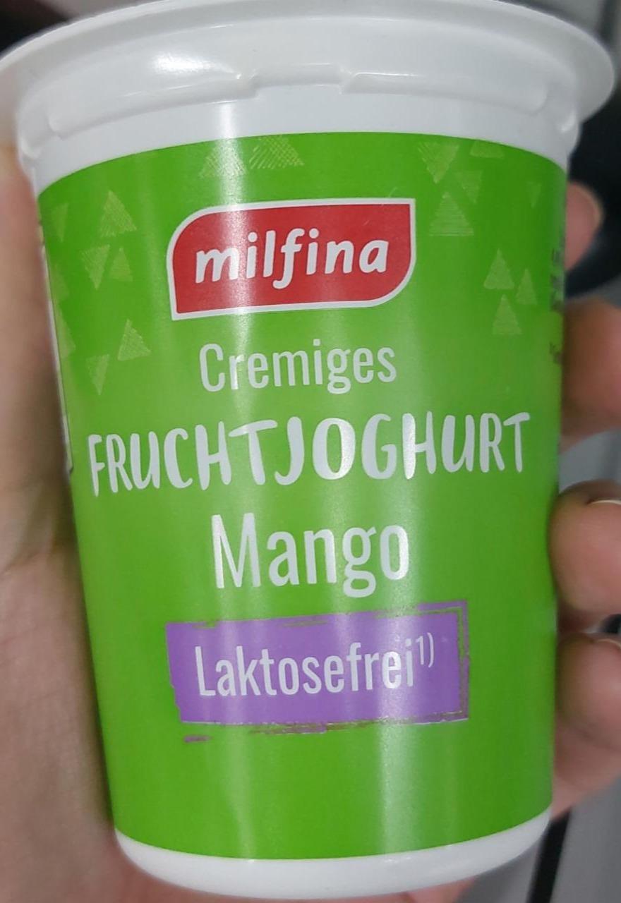 Fotografie - Fruchtjoghurt Mango Lactosefrei Milfina