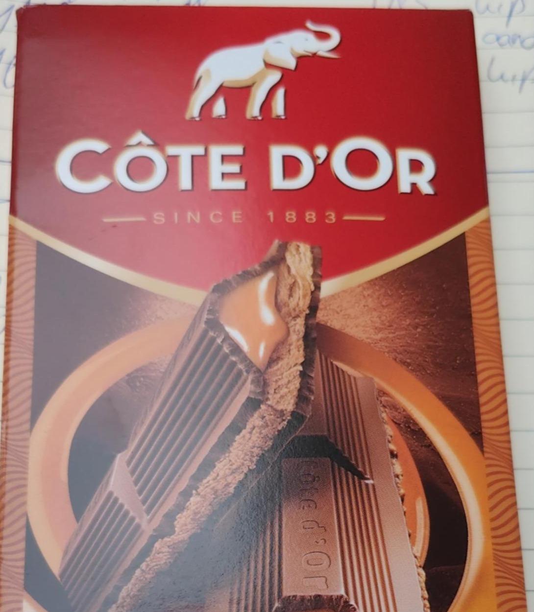 Fotografie - Bon Bon Bloc praliné en karamel Côte d'Or