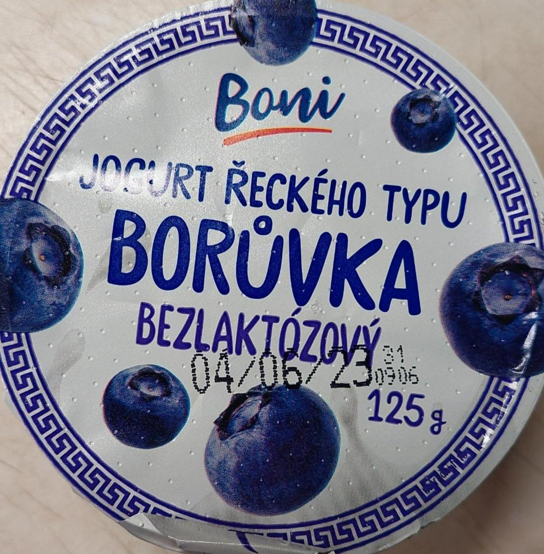 Fotografie - Jogurt řeckého typu borůvka bezlaktózový Boni