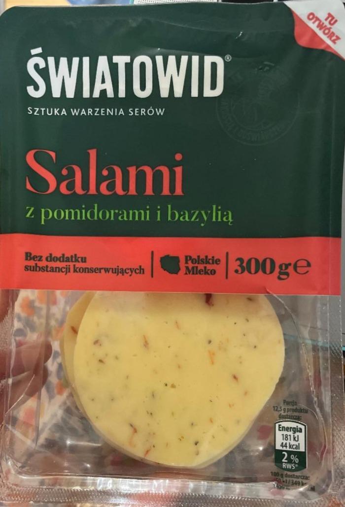 Fotografie - sýr salami z pomidorami i bazylia