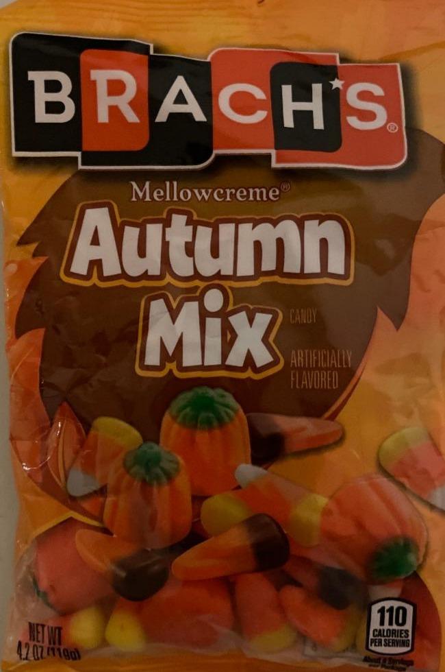 Fotografie - Autumn Mix Candy Brach's