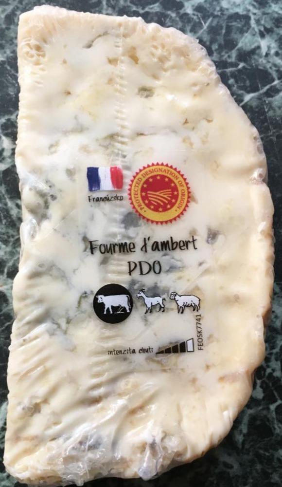 Fotografie - Fourme d´Ambert měkký sýr s modrou plísní