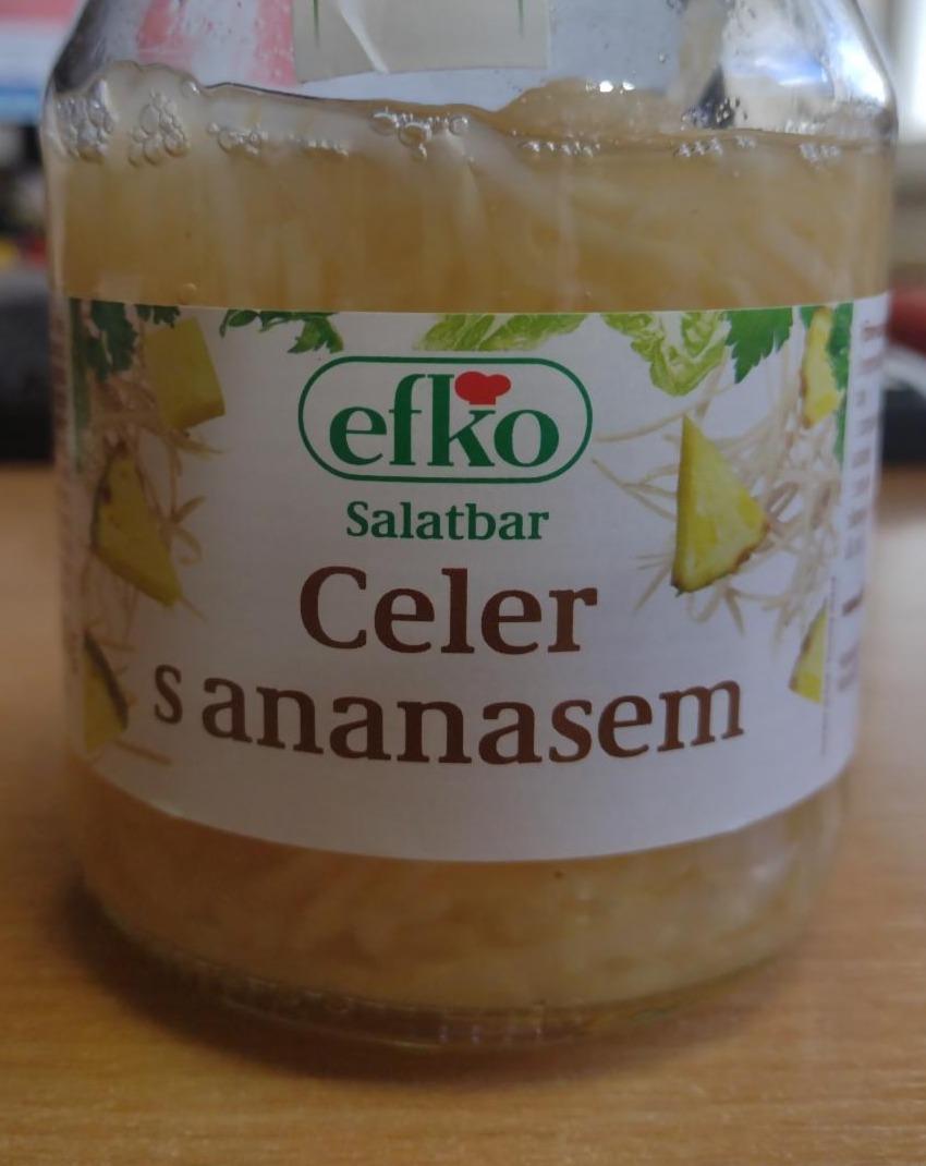 Fotografie - Salatbar Celer s ananasem Efko