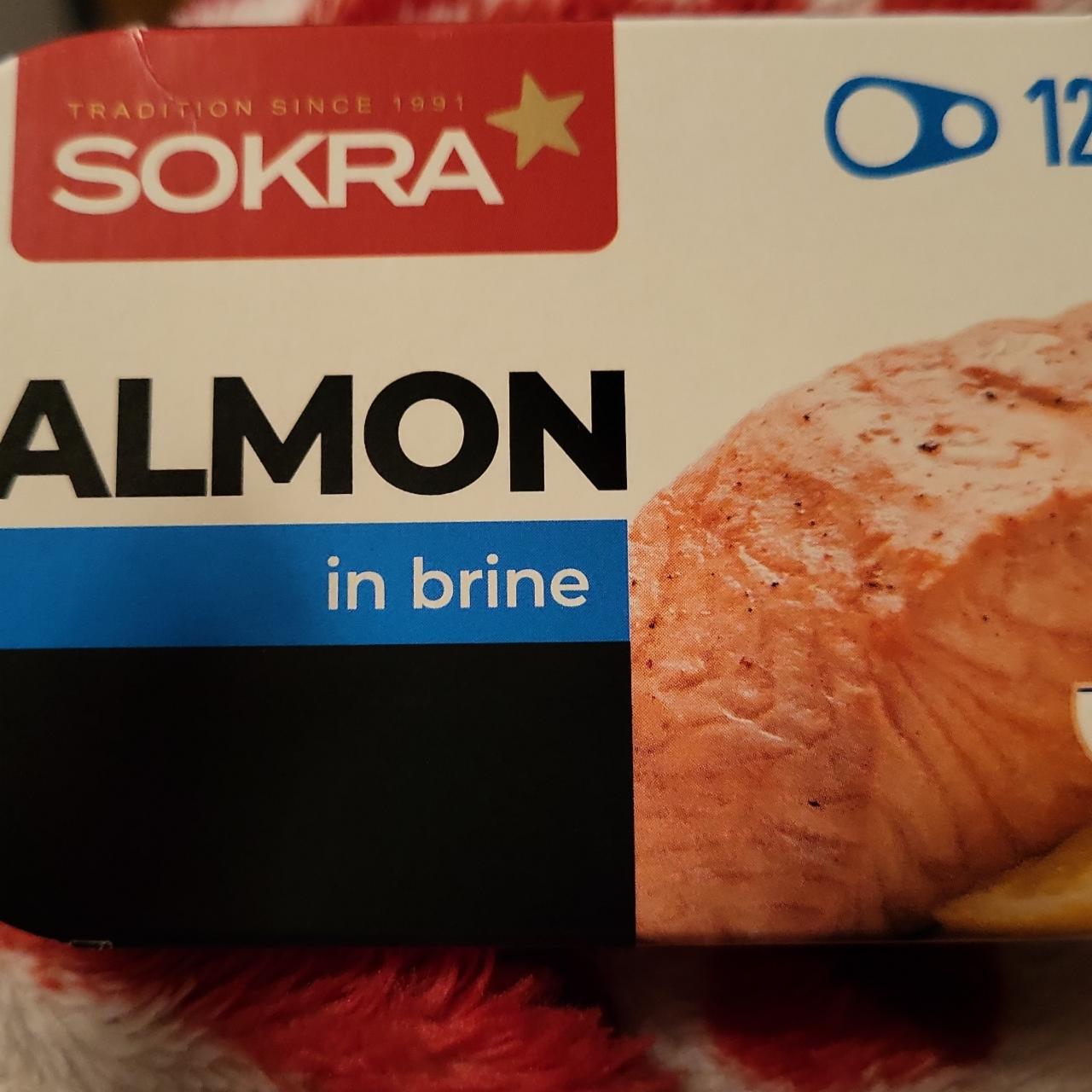 Fotografie - Salmon in brine Sokra