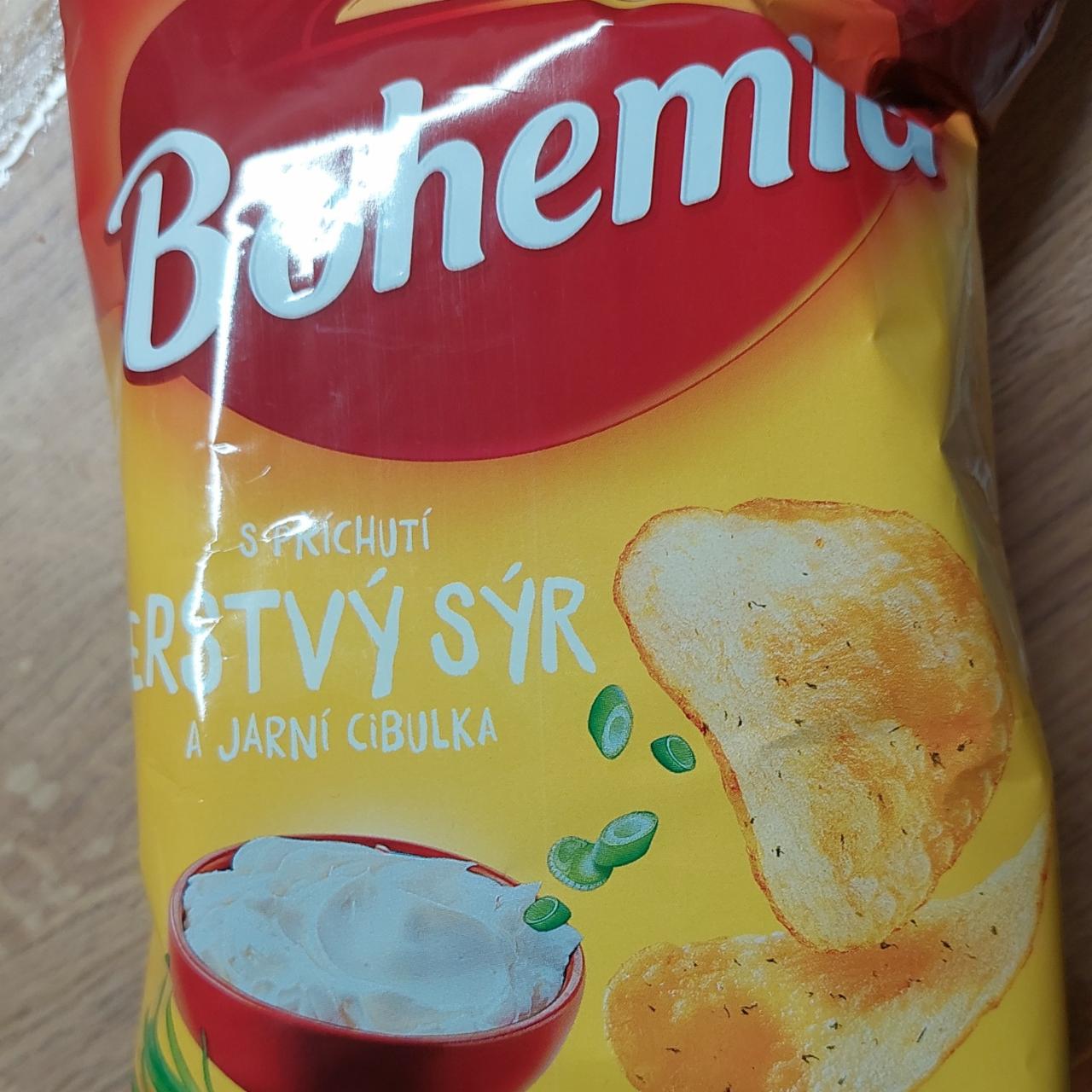 Fotografie - Čerstvý sýr a jarní cibulka Bohemia