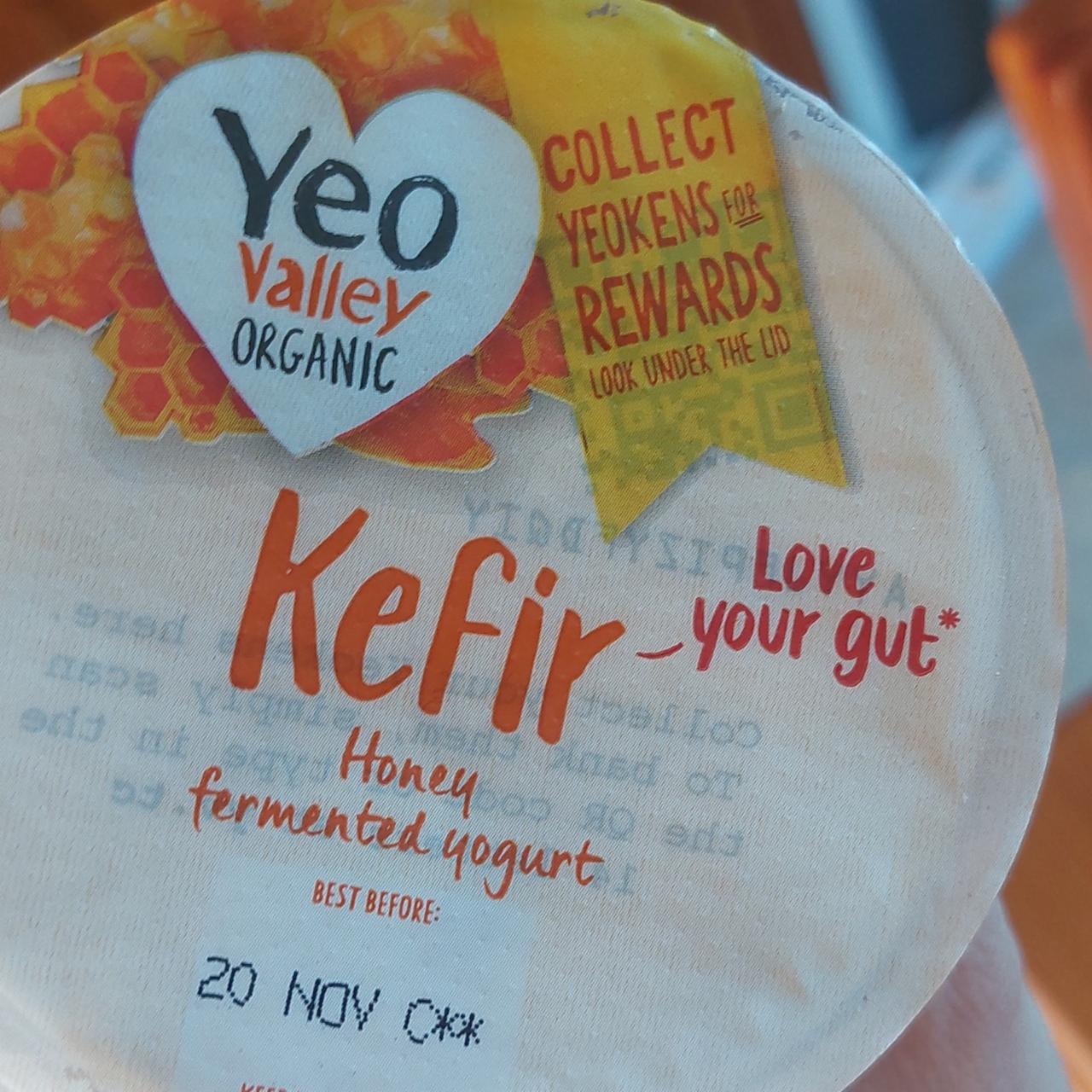 Fotografie - Kefir Honey fermented yogurt Yeo valley