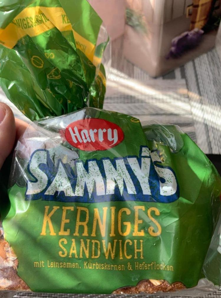 Fotografie - Sammy's Kerniges Sandwich Harry
