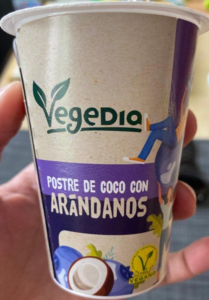 Fotografie - Kokosový jogurt s borůvkami VegeDia