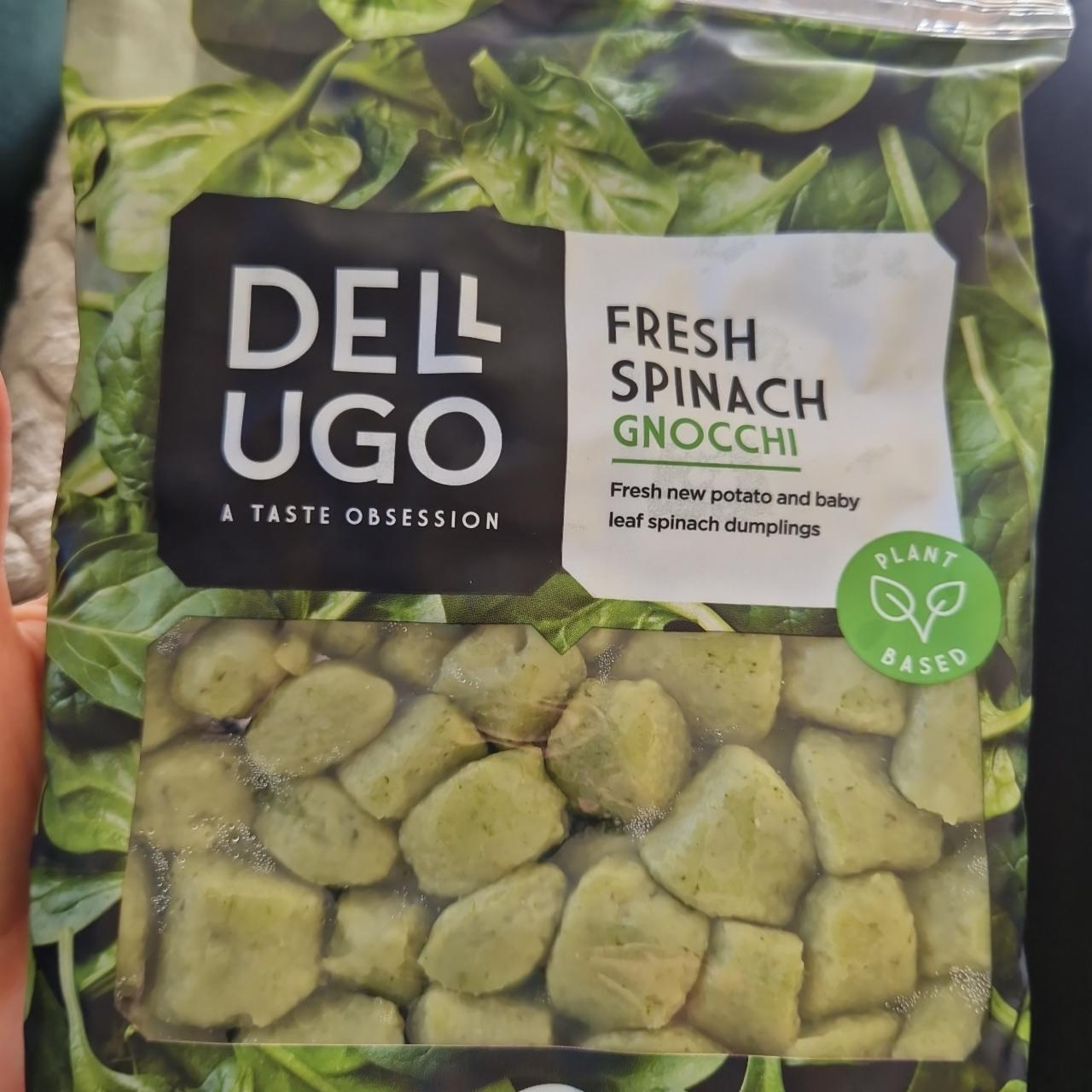 Fotografie - Fresh Spinach Gnocchi Dell Ugo
