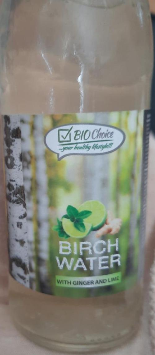 Fotografie - Birch water with Ginger and Lime Bio Choice