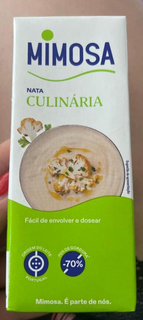 Fotografie - Nata Culinária Mimosa