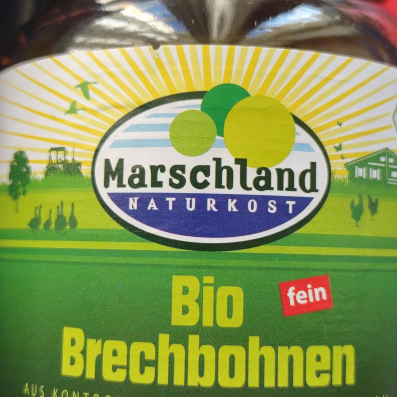 Fotografie - Bio Brechbohnen Marschland