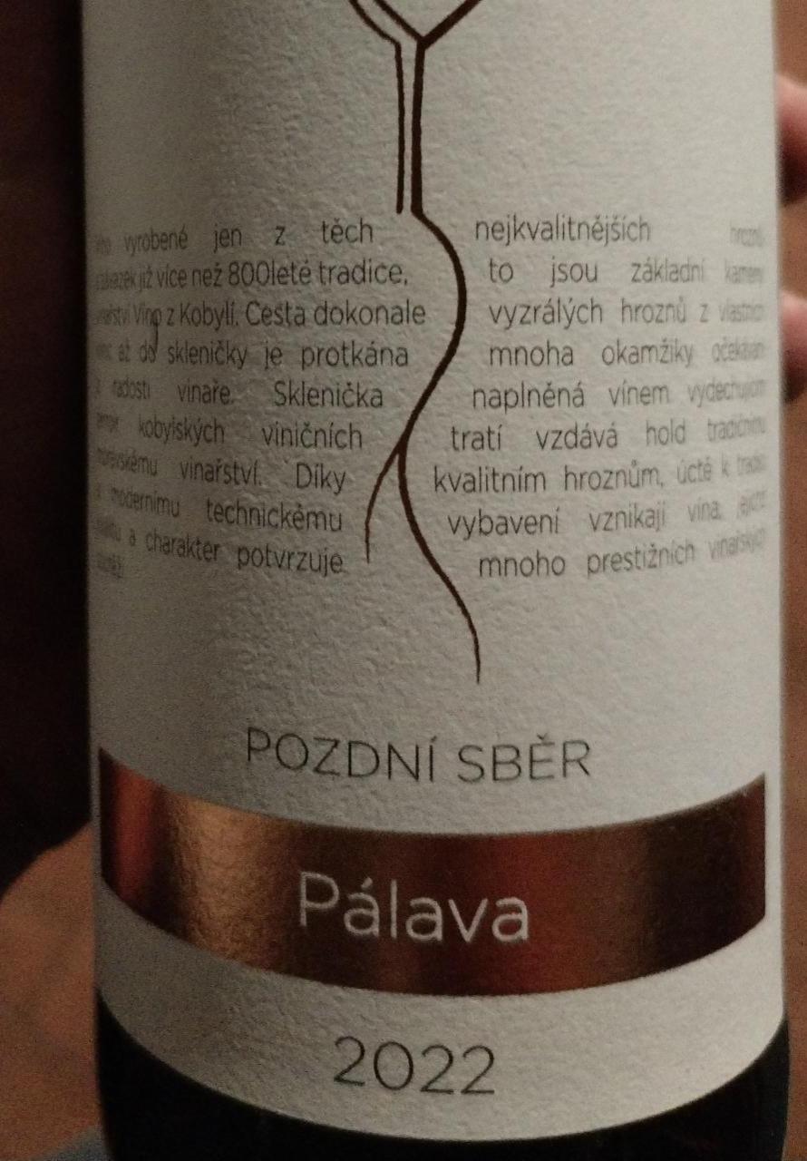 Fotografie - Pálava 2022 Víno z Kobylí