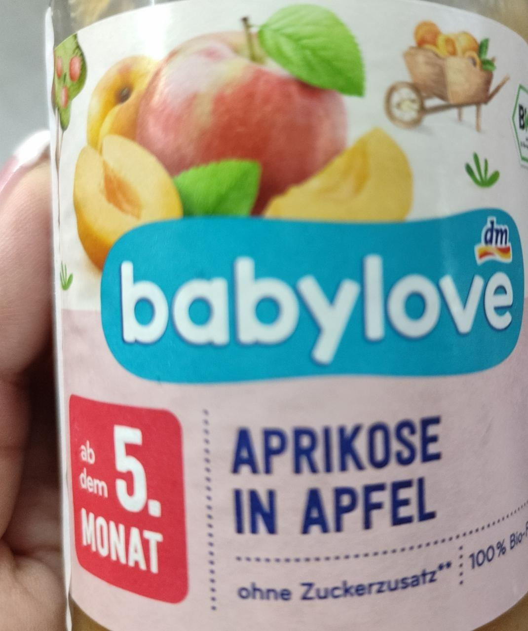 Fotografie - Aprikose in Apfel Babylove Dm