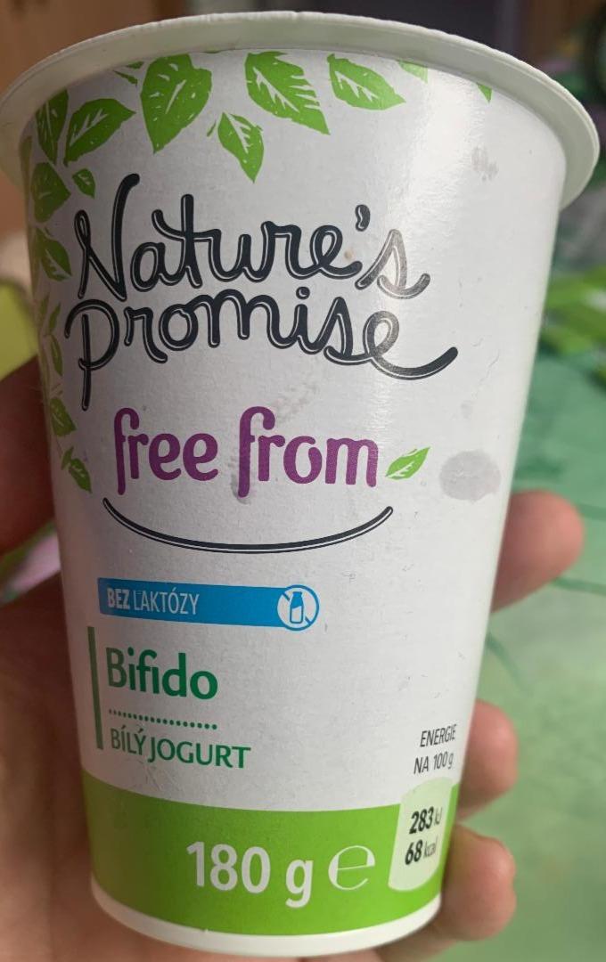 Fotografie - jogurt bílý s bifido kulturou bez laktózy Nature's Promise