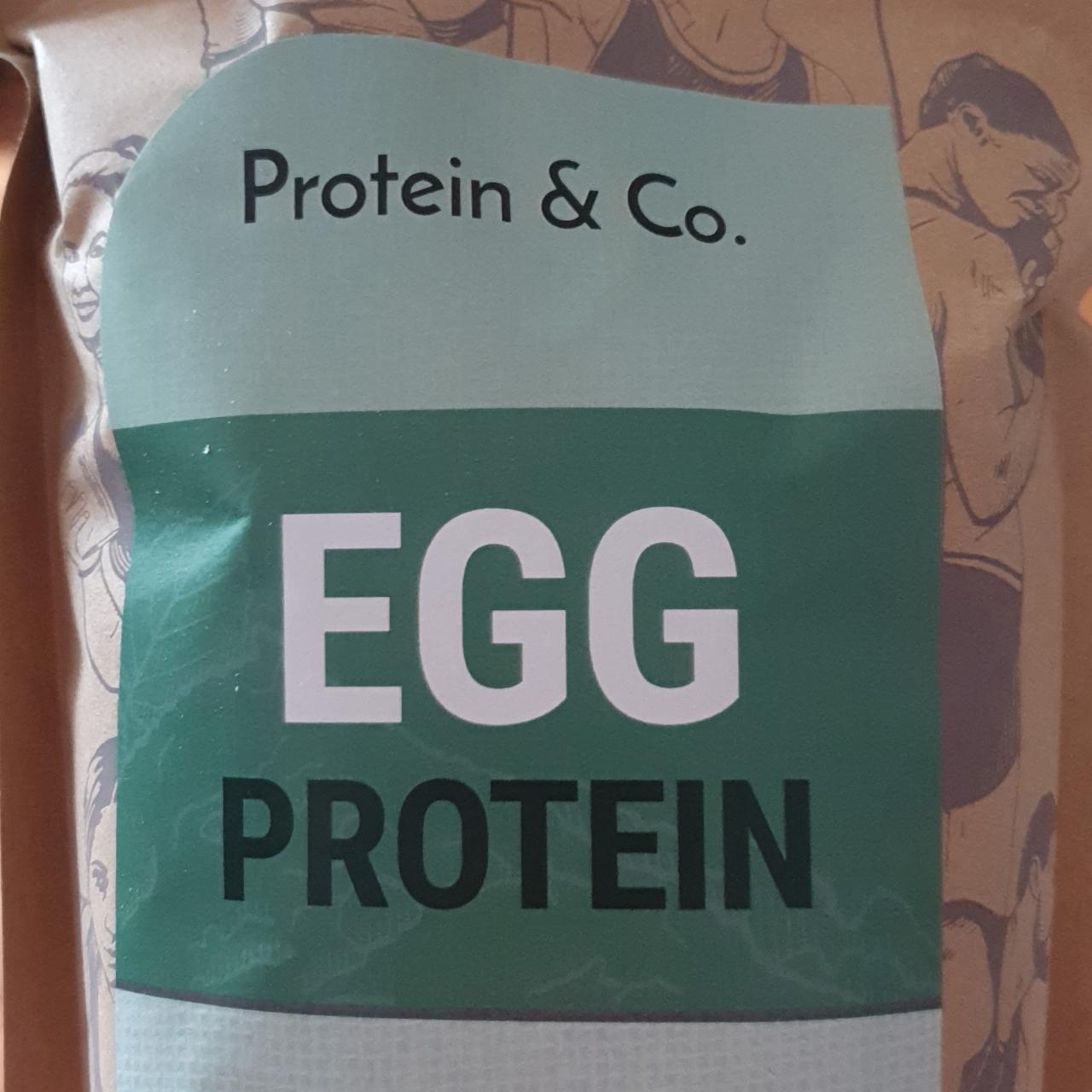 Fotografie - EGG protein Protein & Co.