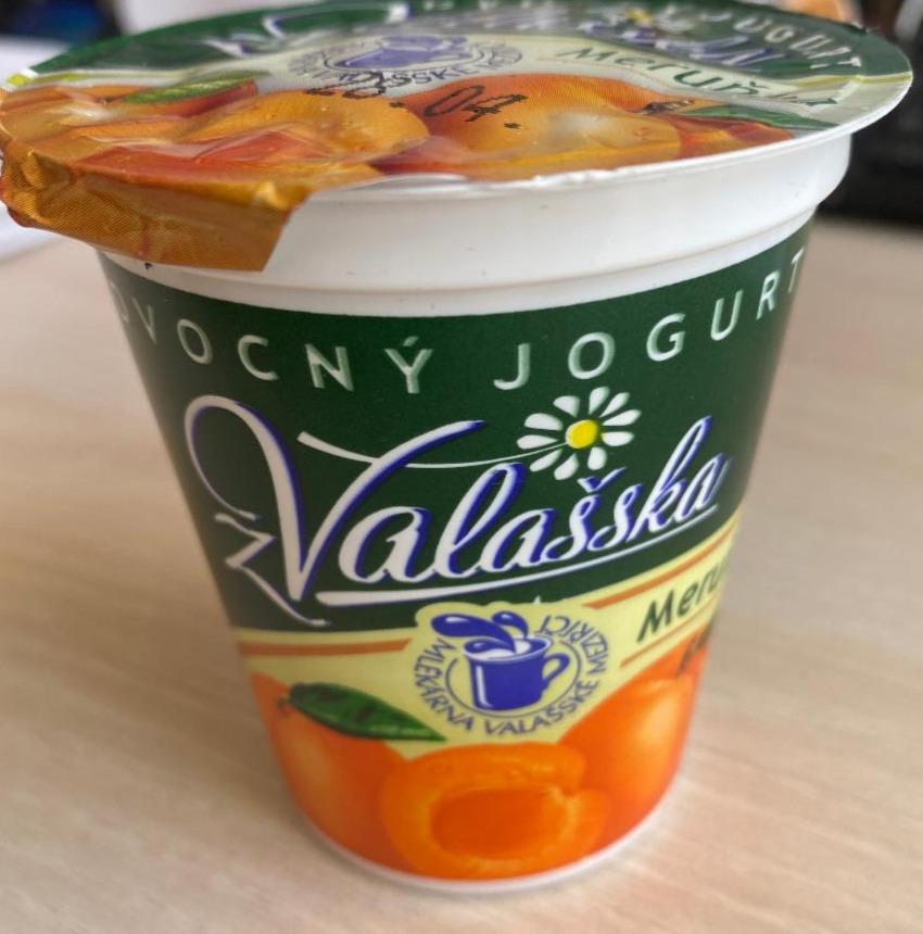 Fotografie - ovocný jogurt z Valašska meruňka