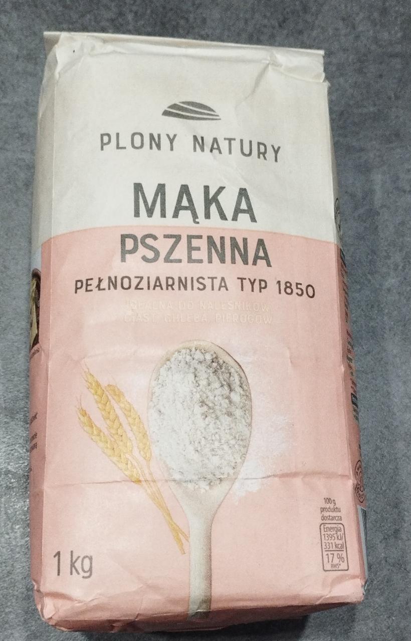 Fotografie - Mąka pszenna pełnoziarnista typ 1850 Plony Natury
