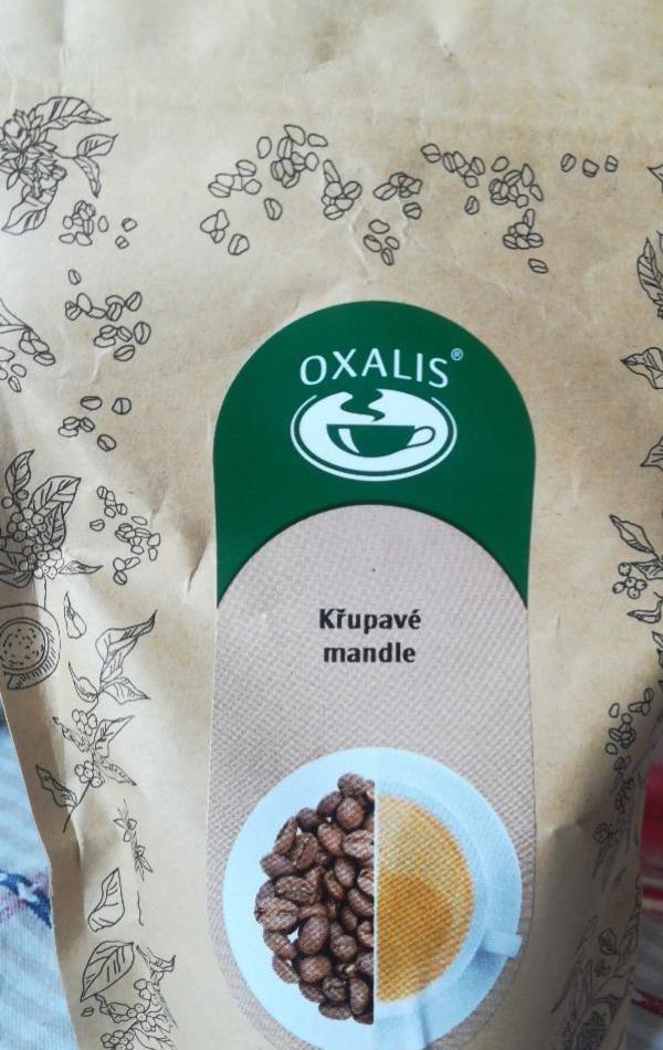 Fotografie - Pražená zrnková káva aromatizovaná Křupavé mandle Oxalis