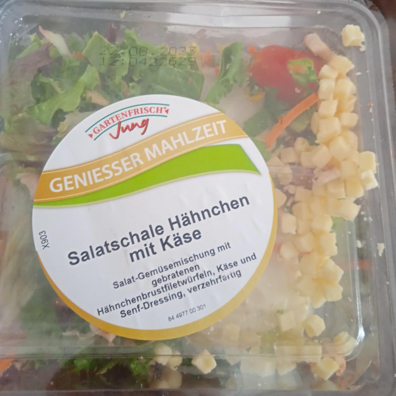 Fotografie - Geniesser Mahlzeit Salatschale Hähnchen mit Käse Gartenfrisch Jung