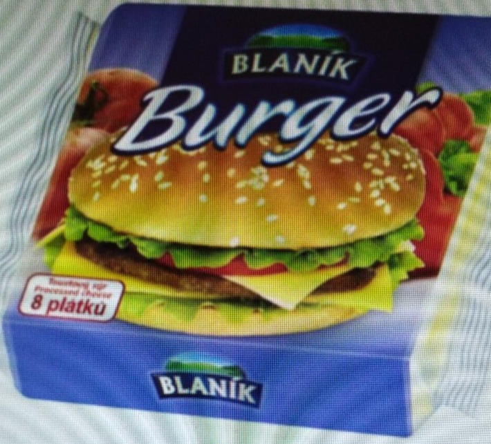 Fotografie - Burger plátkový sýr Blaník