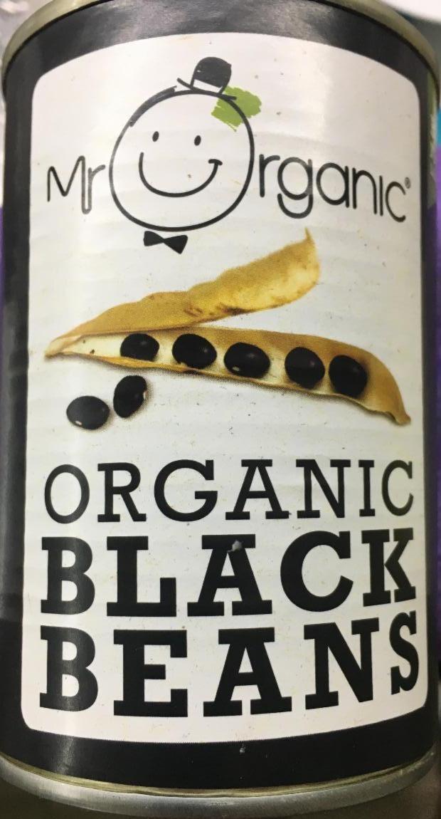 Fotografie - Black Beans Mr Organic