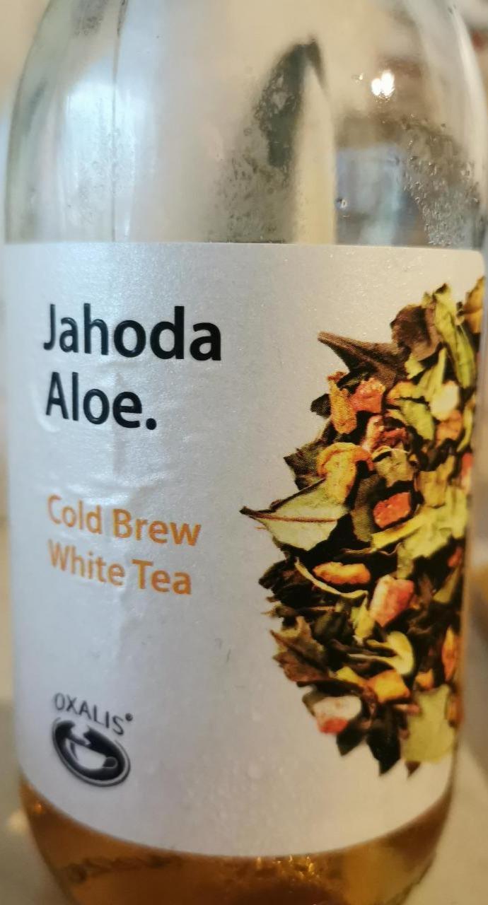 Fotografie - Jahoda Aloe Cold Brew White Tea Oxalis