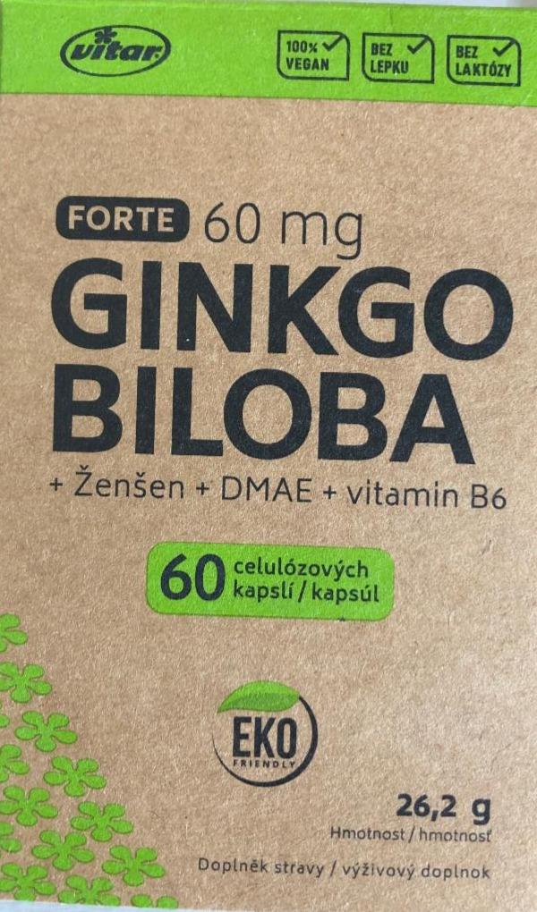 Fotografie - Ginkgo biloba + ženšen + DMAE + vitamin B6 Vitar