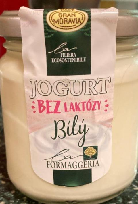 Fotografie - Jogurt bez laktózy bílý La Formaggeria