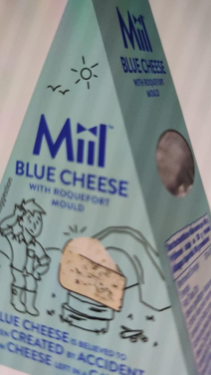 Fotografie - Sýr s modrou plísní Miil